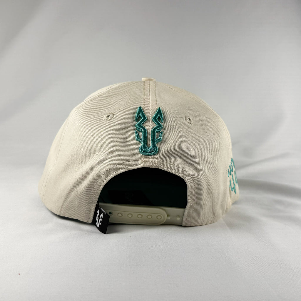 semental de agua gorra vaquera snapback